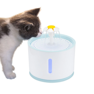 Pet Water Fountain