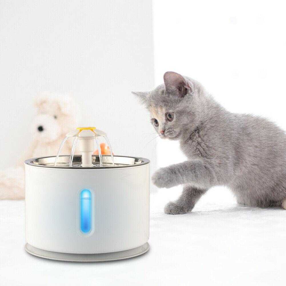 Pet Water Fountain