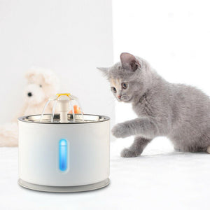 Pet Water Fountain