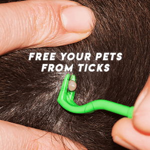 Tick Remover